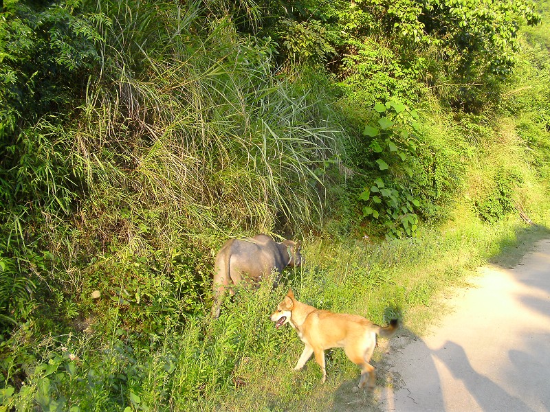DSCK2308.JPG