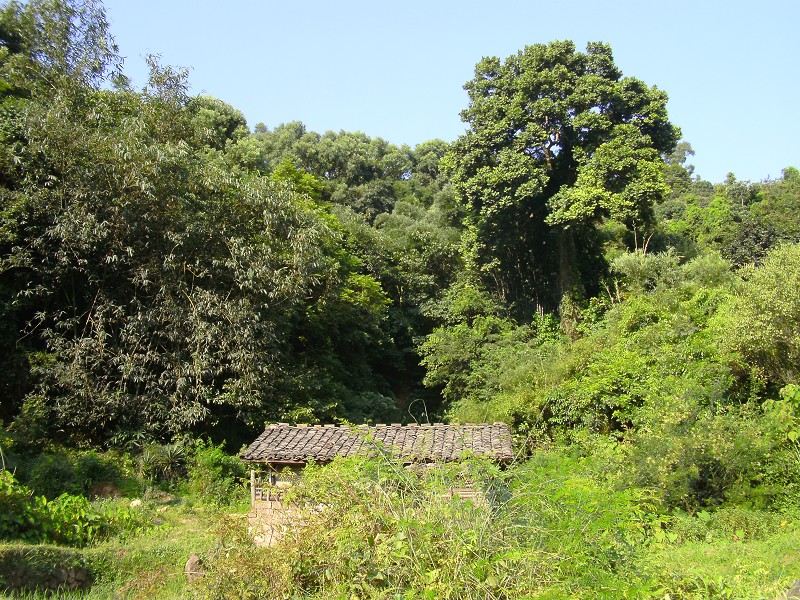 DSCK2235.JPG