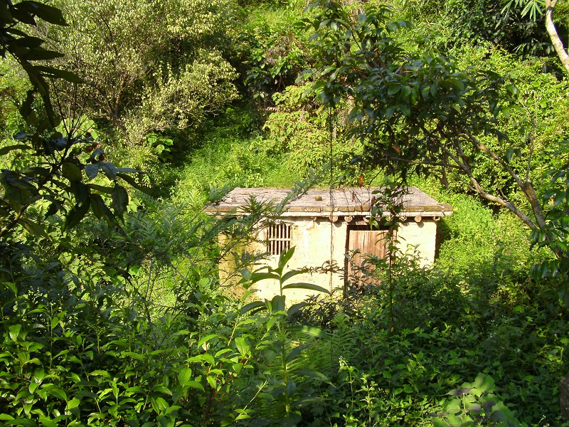 DSCK2236.JPG