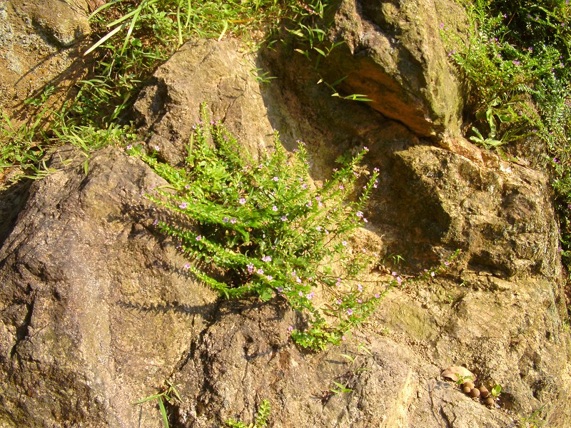 DSCK2239.JPG