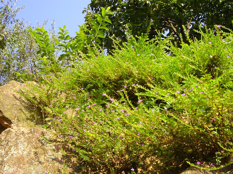 DSCK2240.JPG