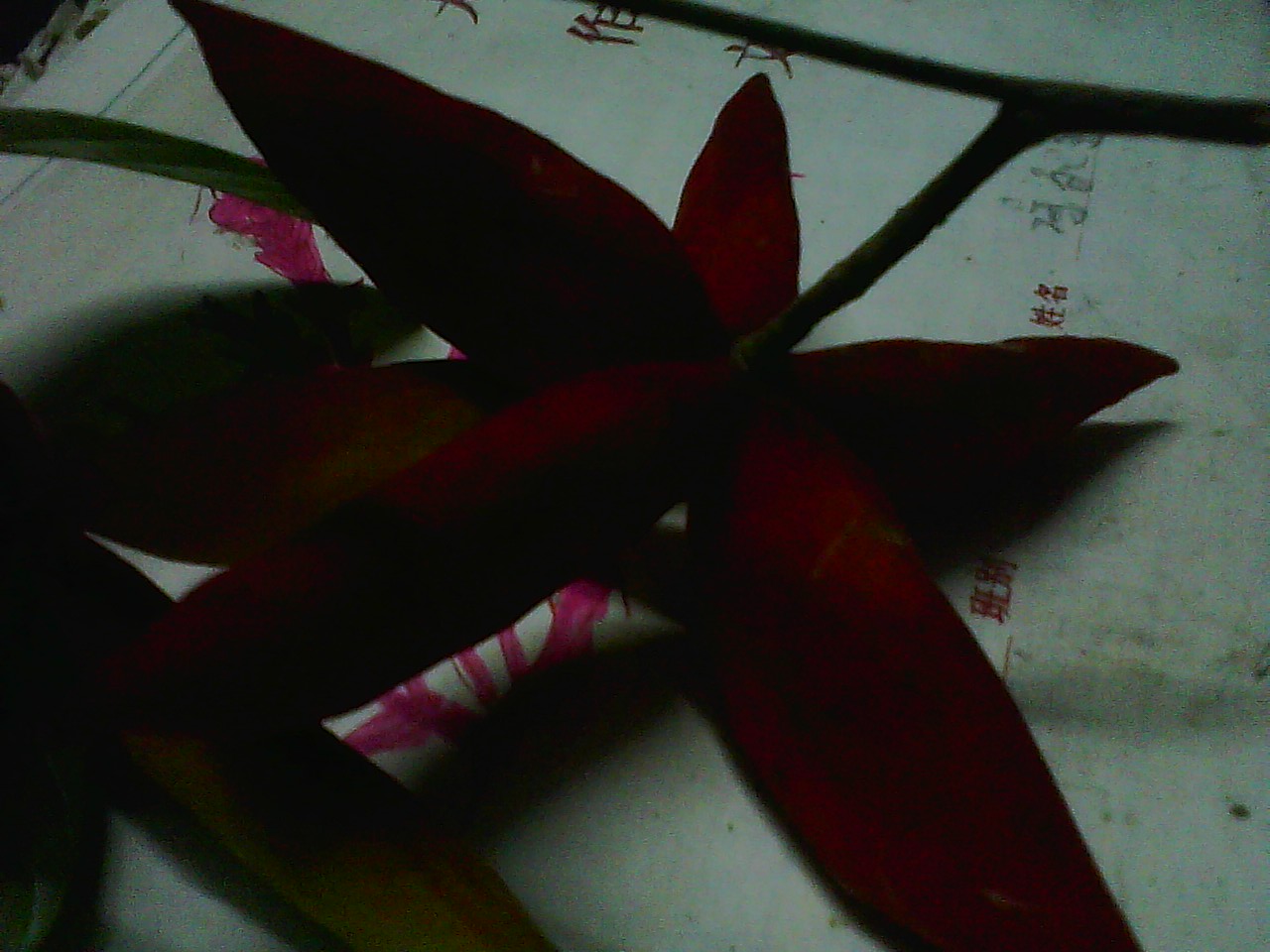 image20110807_215231.jpg