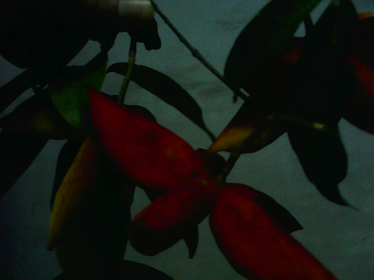 image20110807_215359.jpg