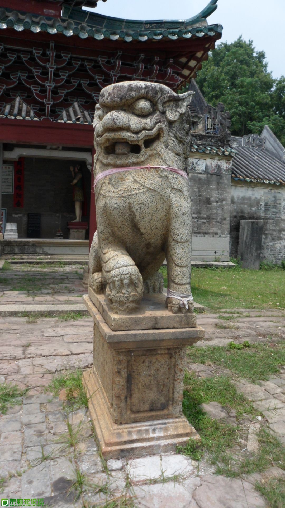 SAM_0978.JPG