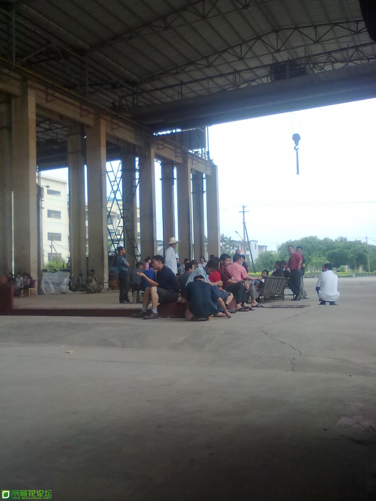 20110825096.jpg