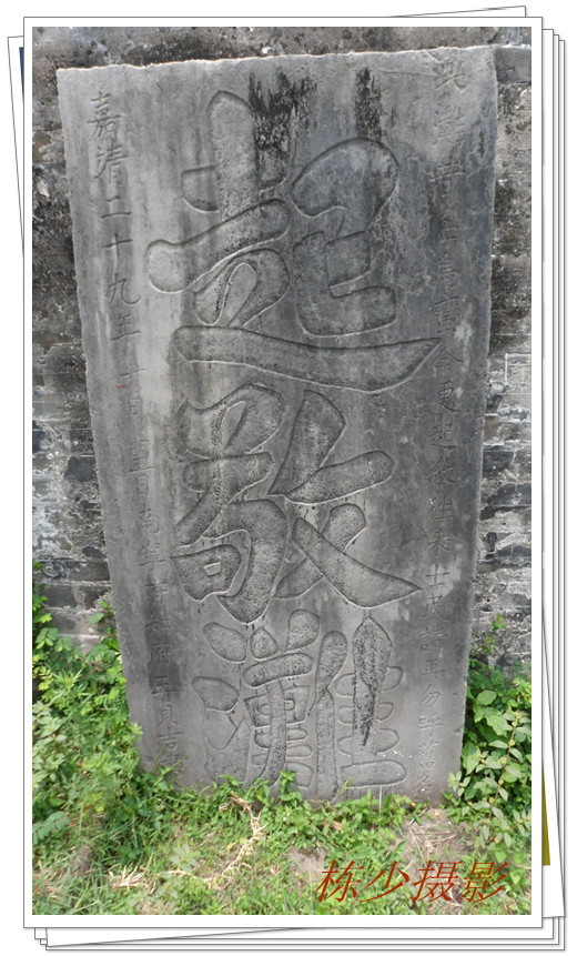 SAM_0973_副本.jpg
