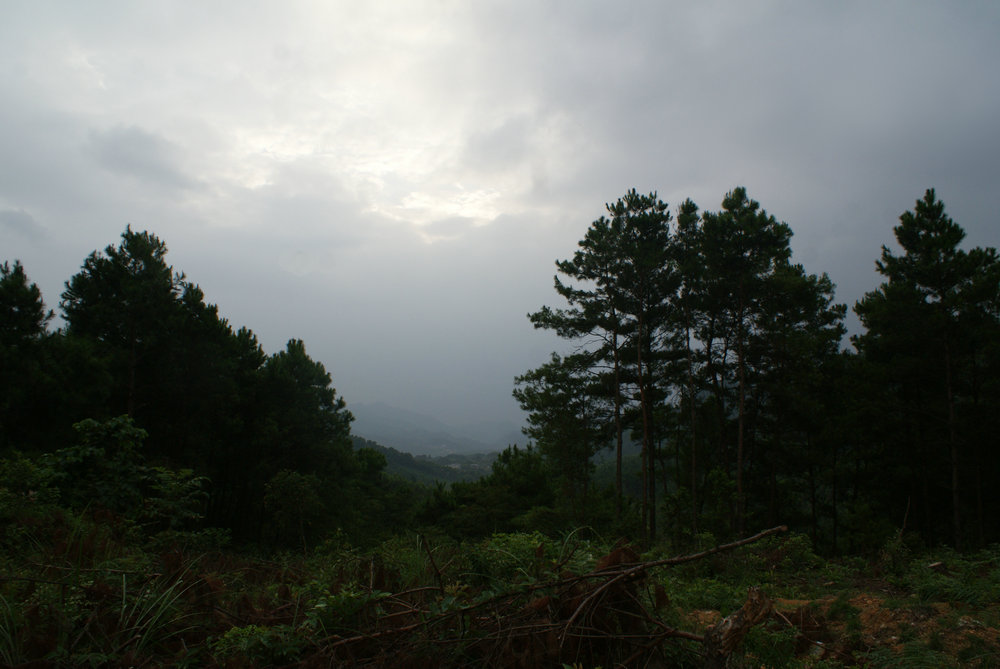 DSC00858_副本.jpg