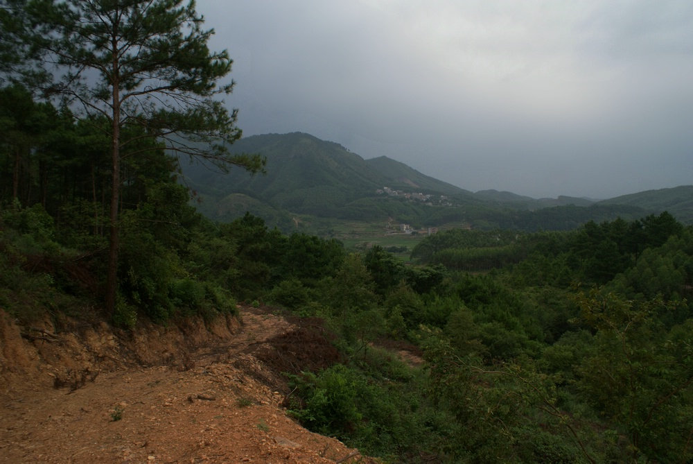 DSC00865.jpg