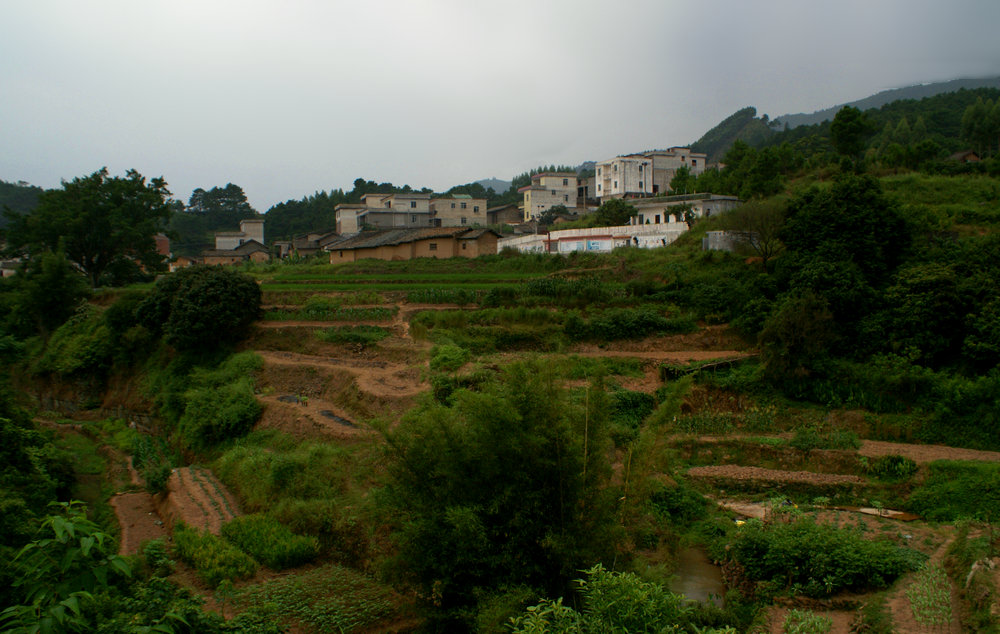 DSC00875.jpg