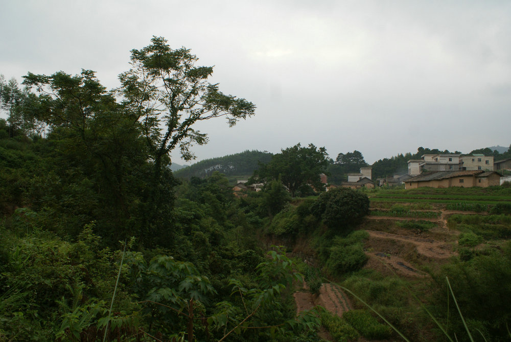 DSC00876.jpg
