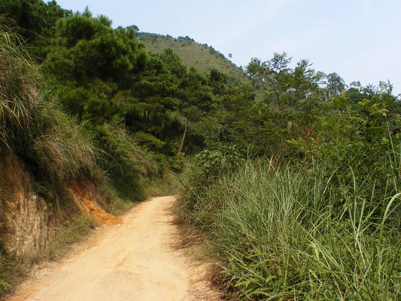 DSCF0387.JPG