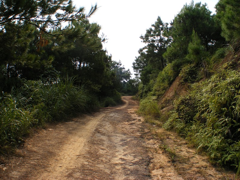 DSCF0405.JPG
