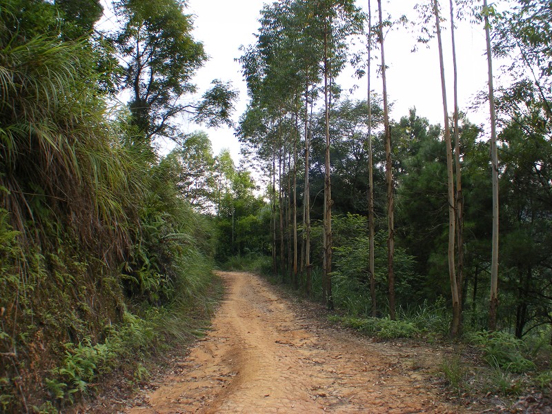 DSCF0414.JPG