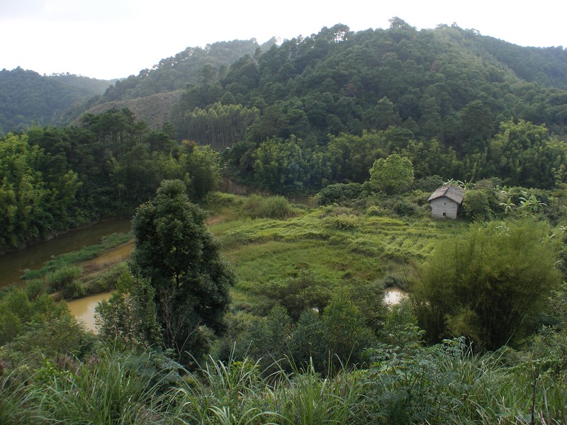 DSCF0418.JPG