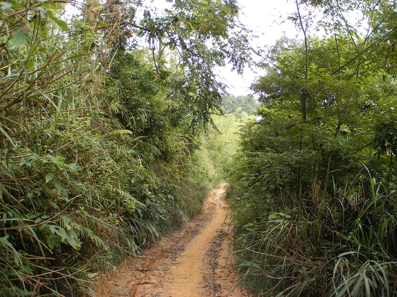 DSCF0421.JPG