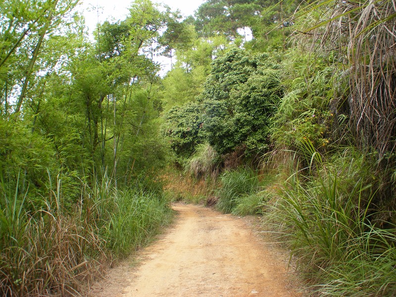 DSCF0424.JPG