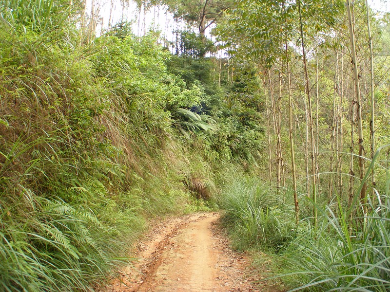 DSCF0428.JPG