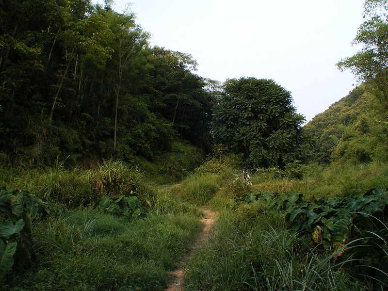 DSCF0439.JPG