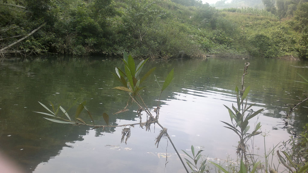 20110903025.jpg