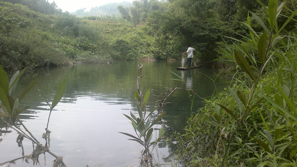 20110903026.jpg