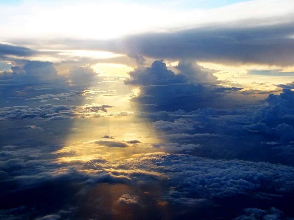 DSCF2412_conew1.jpg