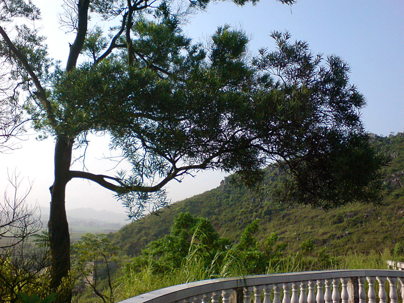 DSC08574_副本.jpg