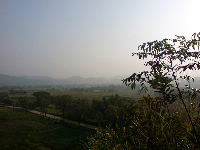 DSC08576_副本.jpg