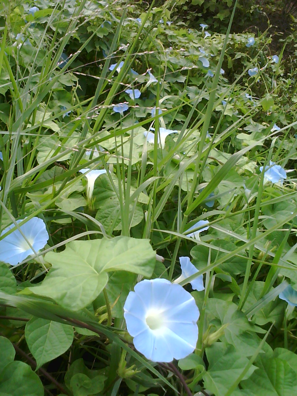 image20110910_081904.jpg
