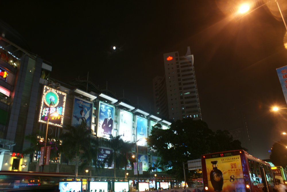 DSC01131.jpg
