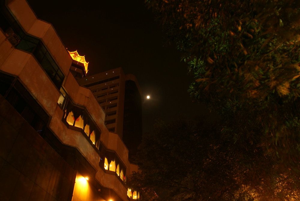 DSC01182.jpg