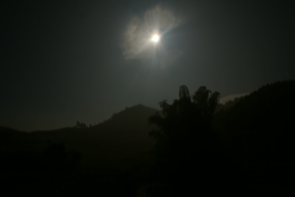 DSC01226.jpg