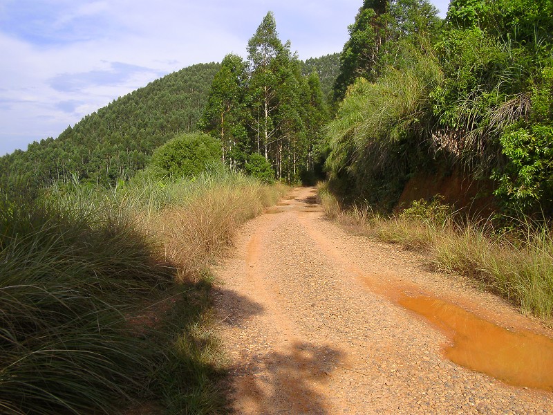 DSCK2456.JPG