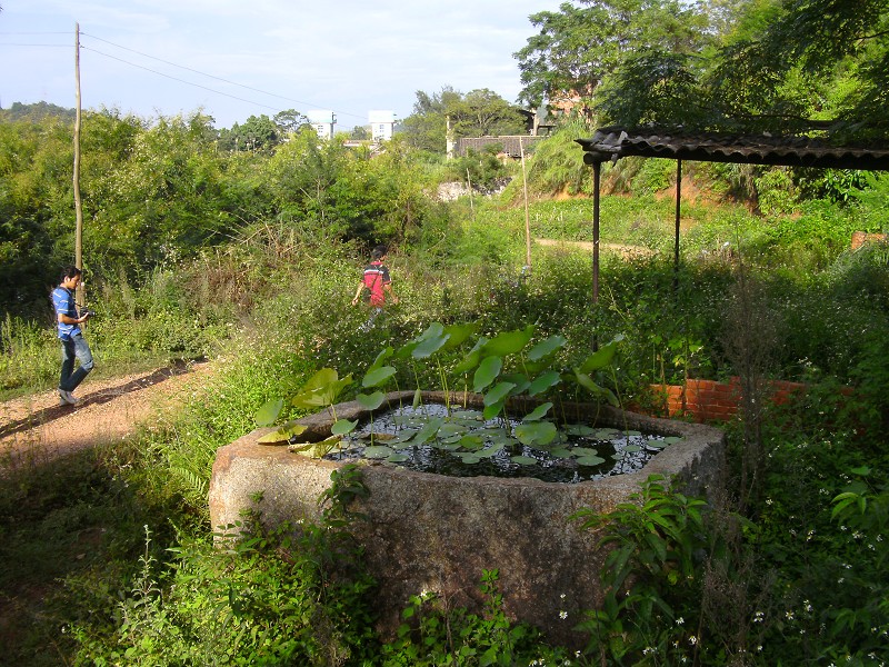 DSCK2461.JPG