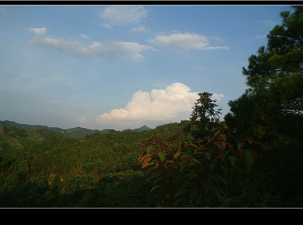 DSC01291.JPG