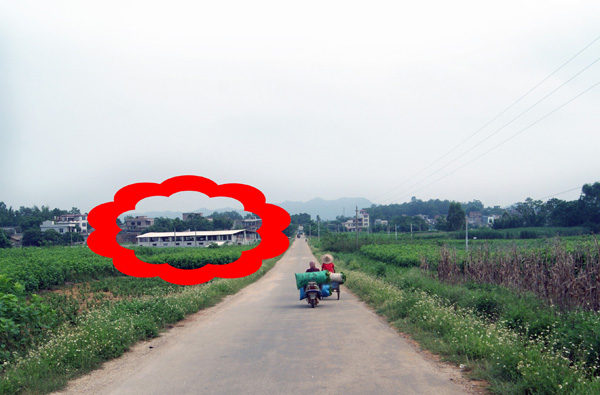 观江奶牛场4.jpg