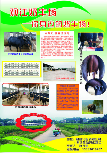 观江奶牛场 副本.jpg