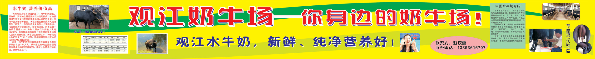 观江奶牛场－RGB.jpg