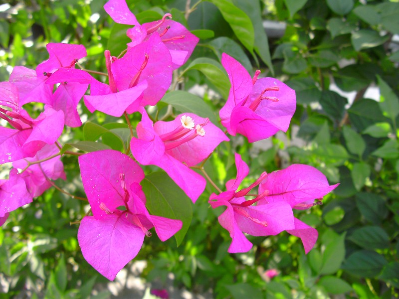 DSCK1550.JPG