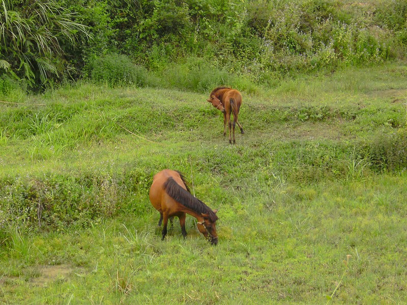 DSCK2323.JPG