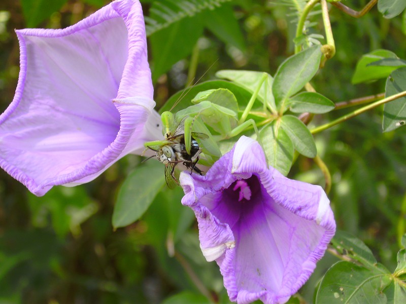 DSCK2501.JPG
