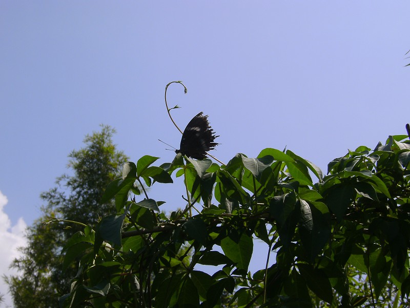 DSCK2508.JPG