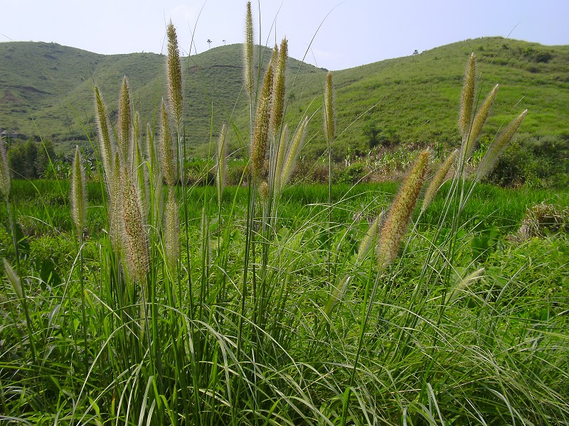 DSCK2560.JPG