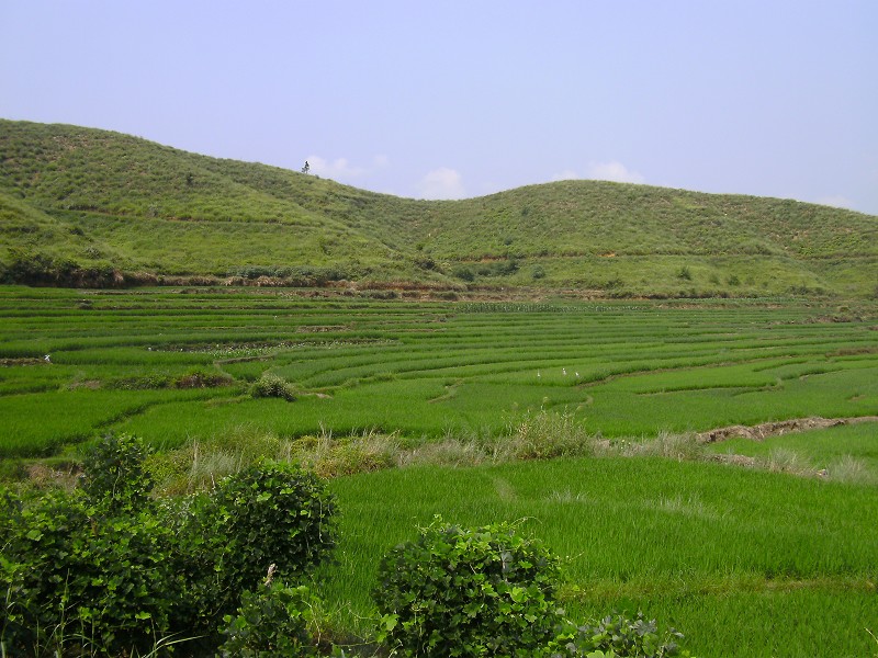 DSCK2563.JPG