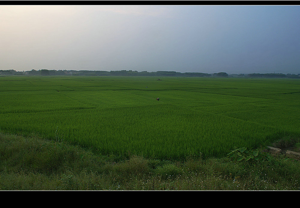 DSC01416.JPG