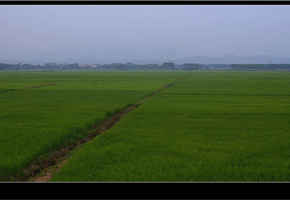 DSC01428.JPG