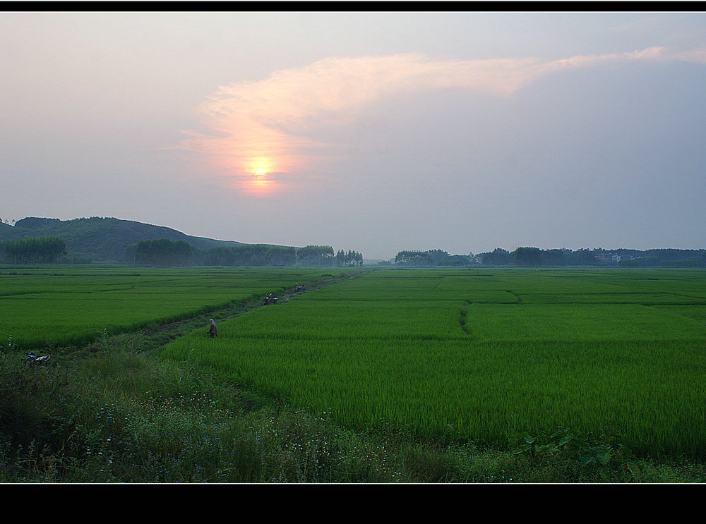 DSC01433.JPG
