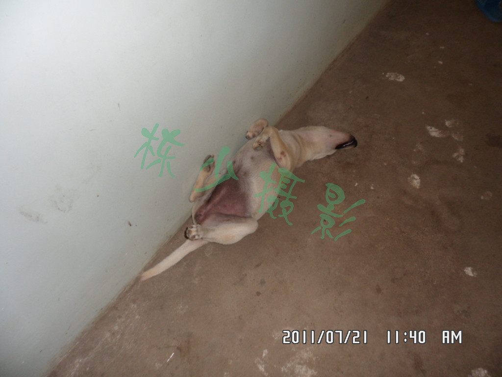 SAM_0521_副本.jpg