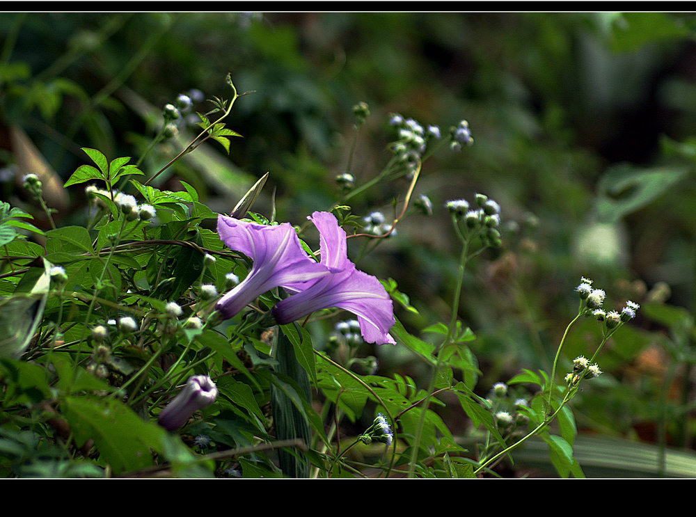DSC01835.JPG