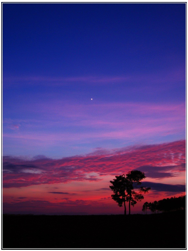 2010.05.12.jpg