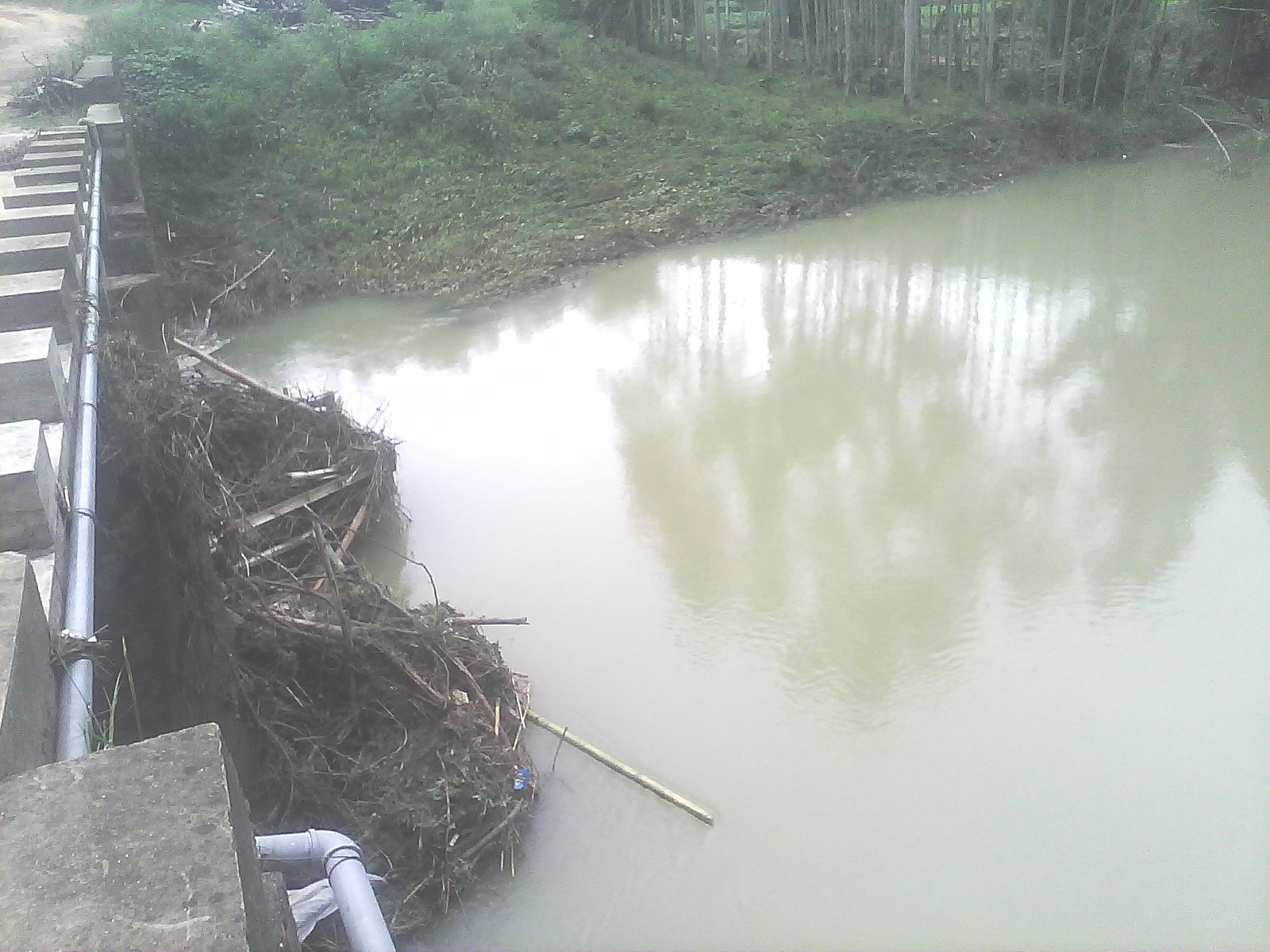 IMG0260A.jpg